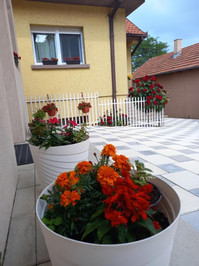 Leda Apartmani Smederevo Eksteriør bilde