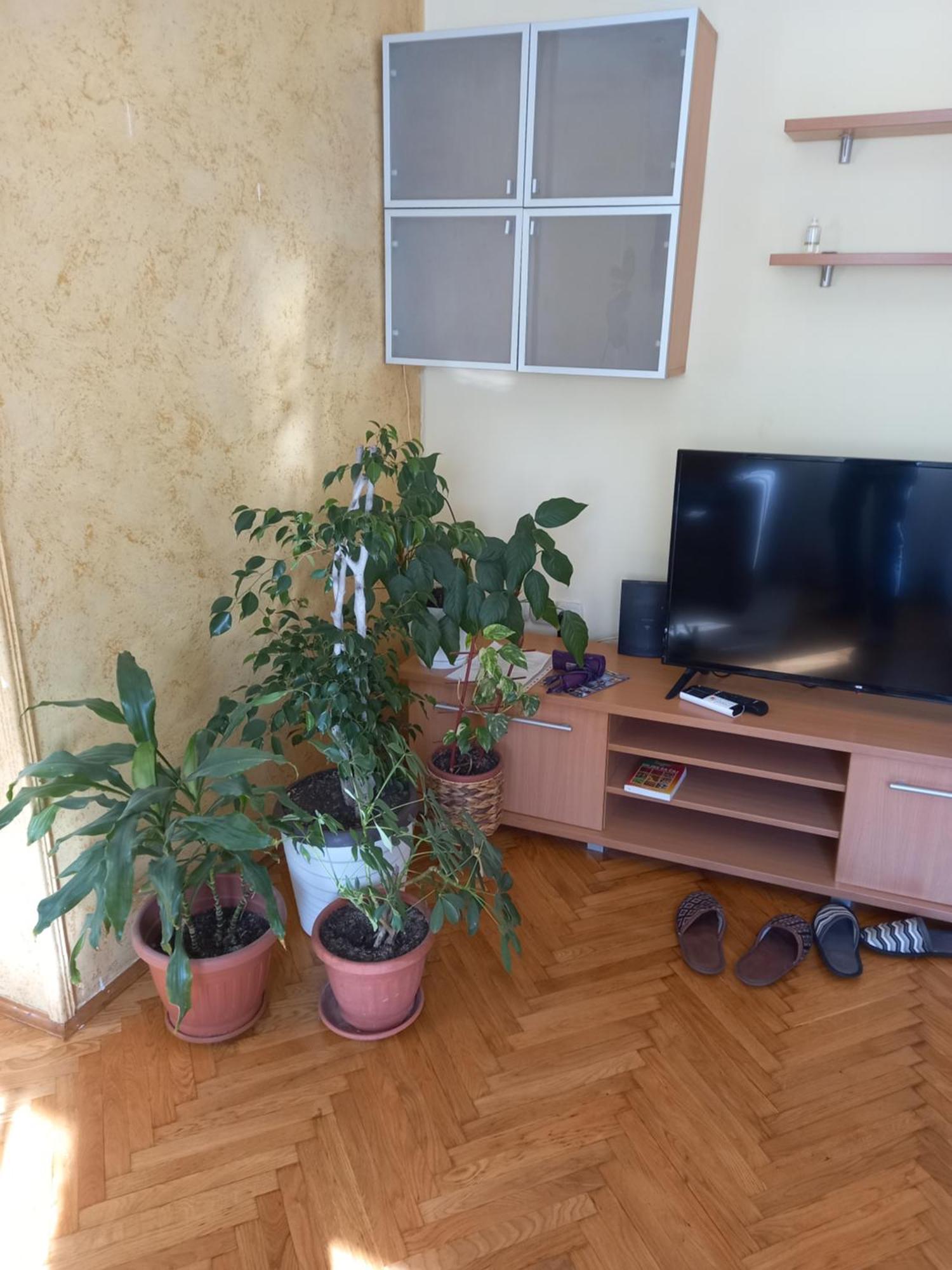Leda Apartmani Smederevo Eksteriør bilde